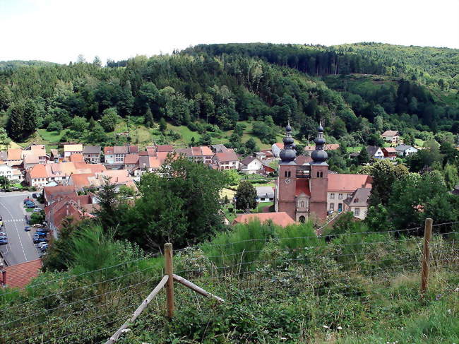 Vue générale sur le village - Saint-Quirin (57560) - Moselle