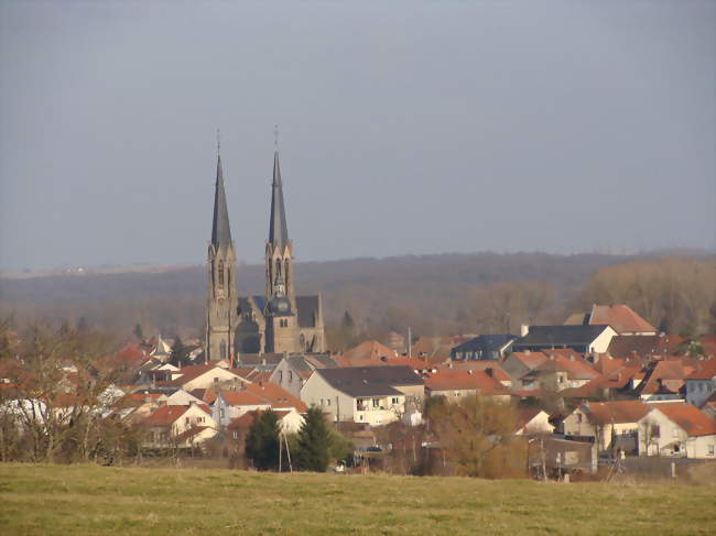 Sarralbe, vue d'ensemble avec église Saint-Martin - Sarralbe (57430) - Moselle