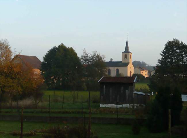 Vue générale et jardins - Torcheville (57670) - Moselle