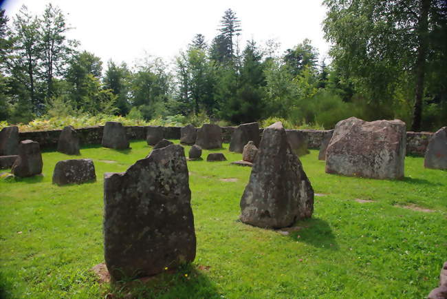 Le cimetière gallo-romain de Beimbach - Walscheid (57870) - Moselle