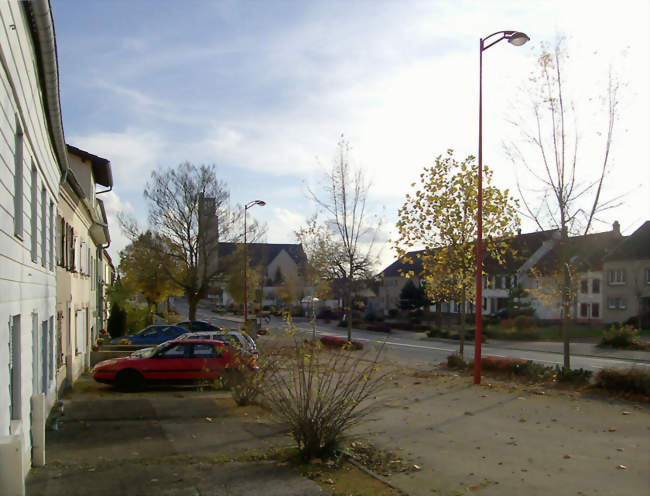 Rue Principale de Willerwald - Willerwald (57430) - Moselle