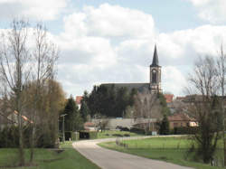 photo Insming