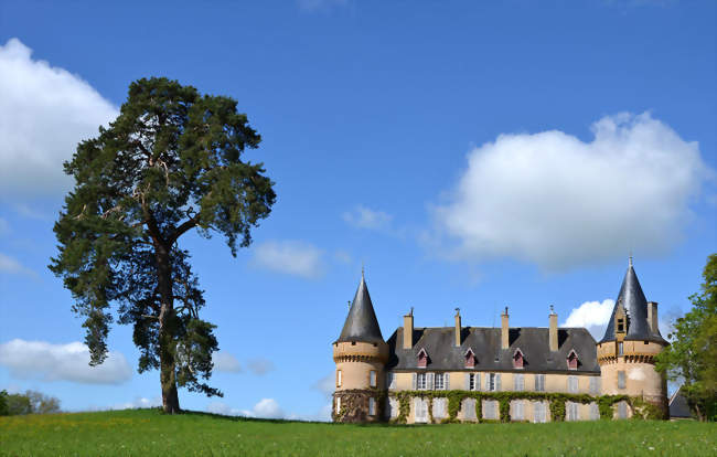Château de Villemolin sur la commune d'Anthien - Anthien (58800) - Nièvre
