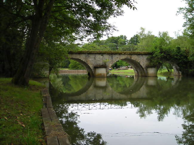 Rivière Aron,  sur le site de Fleury, commune de Biches - Biches (58110) - Nièvre
