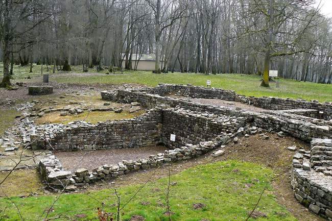 Site archéologique de Compierre à Champallement - Champallement (58420) - Nièvre