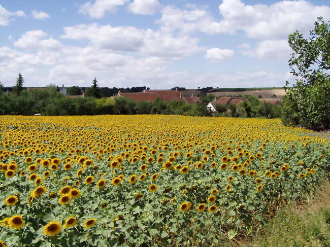 Marcy - Marcy (58210) - Nièvre