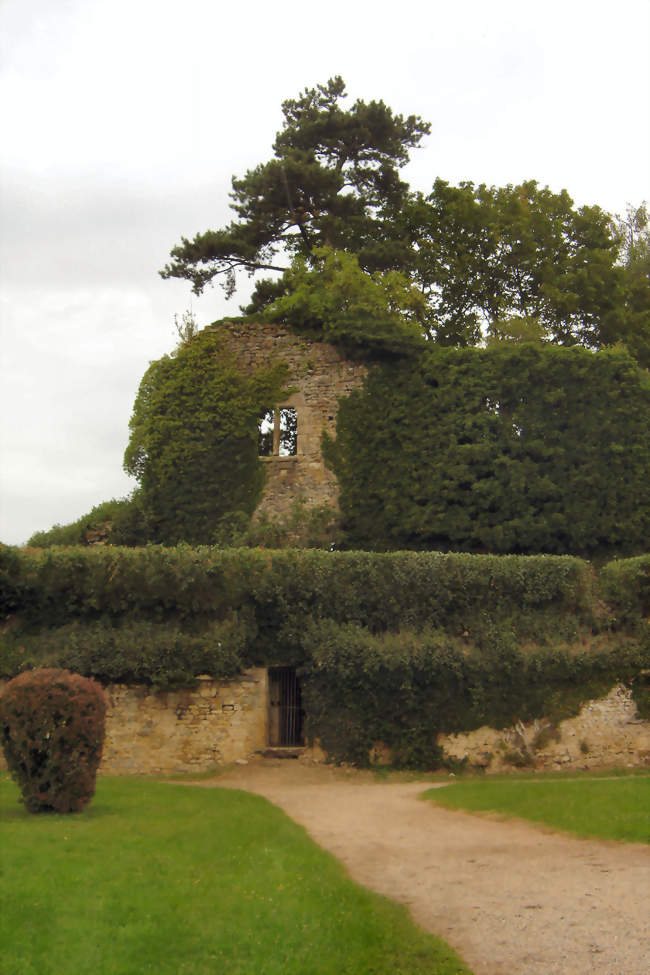 Les ruines du château - Moulins-Engilbert (58290) - Nièvre