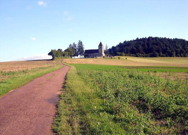 Sur la route menant à l'église paroissiale - Saint-Aubin-des-Chaumes (58190) - Nièvre