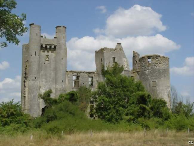 Ruines du Château de Passy-les-Tours - Varennes-lès-Narcy (58400) - Nièvre