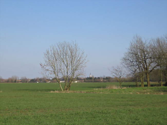 Aubers, vu depuis Fauquissart (commune de Laventie) - Aubers (59249) - Nord