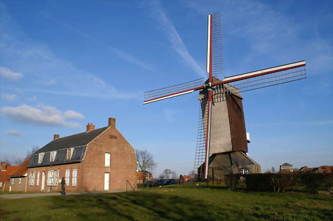 Le moulin de l'Ingratitude (Ondankmeulen) - Boeschepe (59299) - Nord