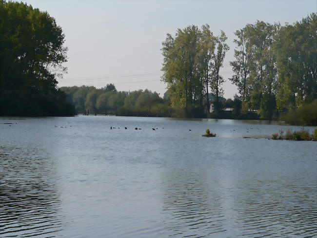 Le marais du Warlet - Fretin (59273) - Nord