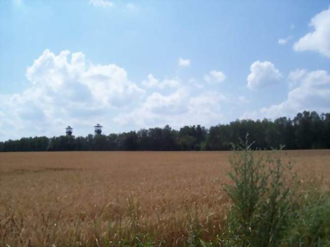 Vue de l'ancienne mine, aujourd'hui Centre historique minier de Lewarde - Lewarde (59287) - Nord