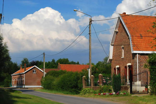 La rue du Martincamp - Radinghem-en-Weppes (59320) - Nord