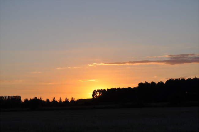 Coucher de soleil sur les champs de Rumegies - Rumegies (59226) - Nord