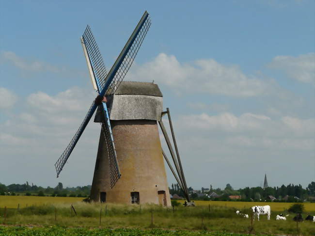 Le moulin - Saint-Vaast-en-Cambrésis (59188) - Nord