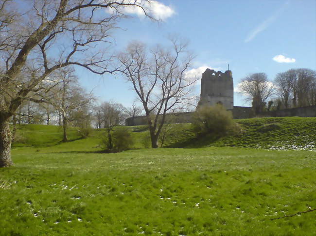 Tour de l'ancienne abbaye Notre-Dame du Mont à Watten - Watten (59143) - Nord