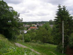 photo Dimont