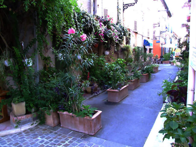 Marchés à Mouans-Sartoux