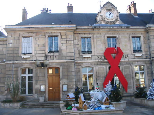 Assistant / Assistante chef de projet