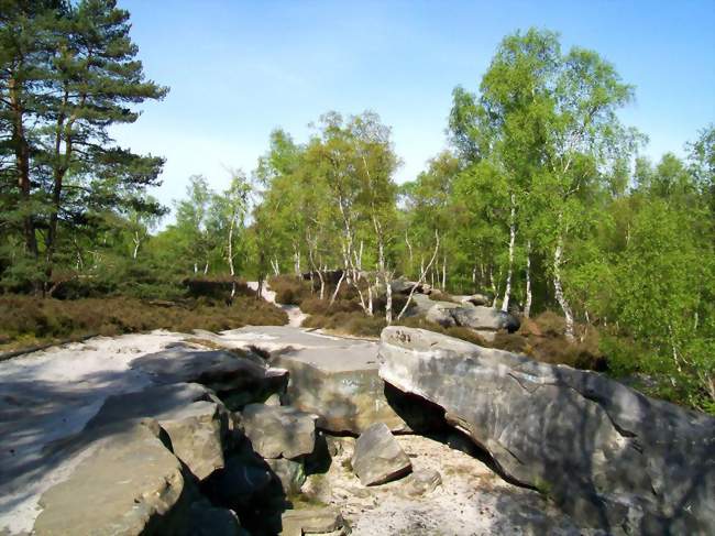 Site de la Pierre Glissoire - Péroy-les-Gombries (60440) - Oise