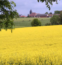 photo Beaumont-les-Nonains