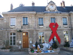photo Assistant / Assistante chef de projet