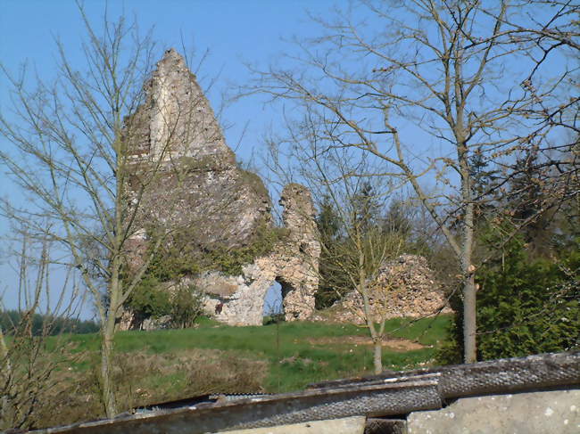Ruines du château - Bonsmoulins (61380) - Orne