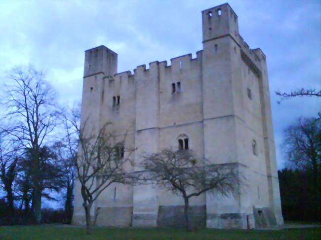 Donjon de Chambois du XIIe siècle - Chambois (61160) - Orne