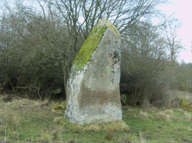 La Pierre de Gargantua - Craménil (61220) - Orne