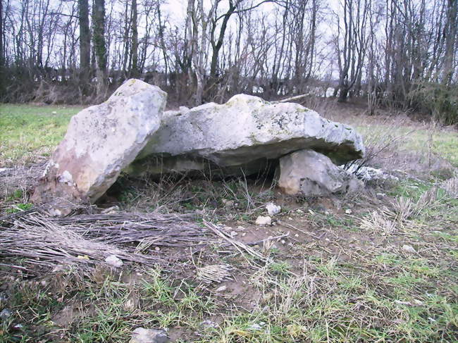 Dolmen de la Pierre Couplée - La Ferté-Frênel (61550) - Orne