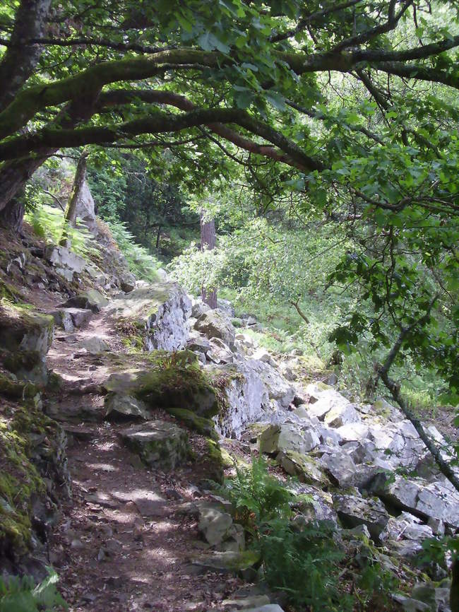 Les gorges de Villiers - Saint-Ouen-le-Brisoult (61410) - Orne