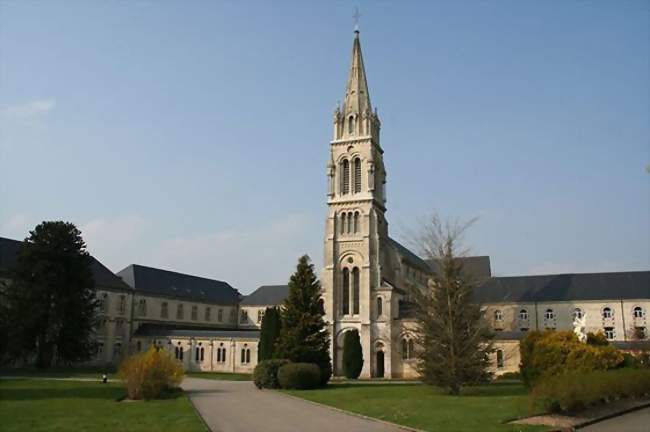 Inventaire botanique de Soligny-la-Trappe