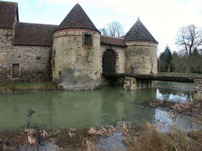 Le château - La Ventrouze (61190) - Orne