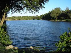 photo Promenade à la Ferrière-aux-Etangs