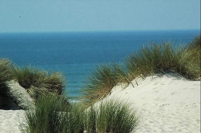La plage de Stella-Plage vue des dunes - Cucq (62780) - Pas-de-Calais