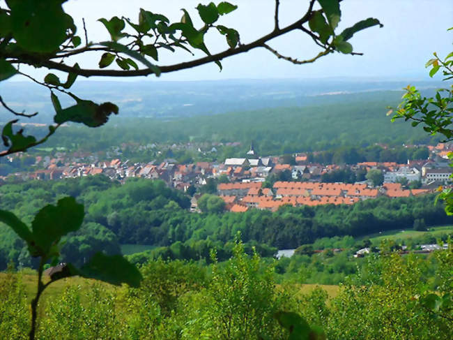 Desvres au milieu des collines boisées du Boulonnais - Desvres (62240) - Pas-de-Calais