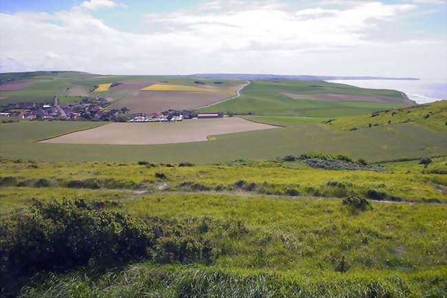 Vue du cap Blanc-Nez - Escalles (62179) - Pas-de-Calais