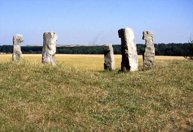 Cromlech des Bonnettes, monument historique - Sailly-en-Ostrevent (62490) - Pas-de-Calais