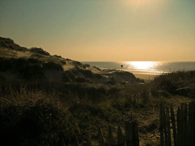 Les Dunes d'Ecault, site naturel de Saint-Étienne au Mont, à Ecault - Saint-Étienne-au-Mont (62360) - Pas-de-Calais