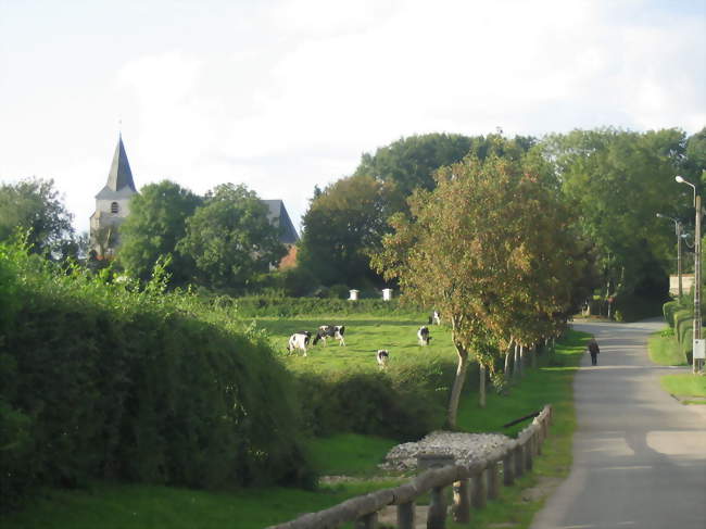 Le chemin des Lombards - Wailly-Beaucamp (62170) - Pas-de-Calais