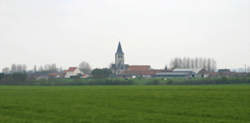 photo Hestrus