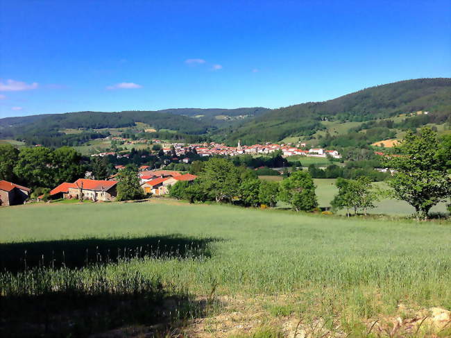 Saint-Anthème en juin 2013 - Saint-Anthème (63660) - Puy-de-Dôme