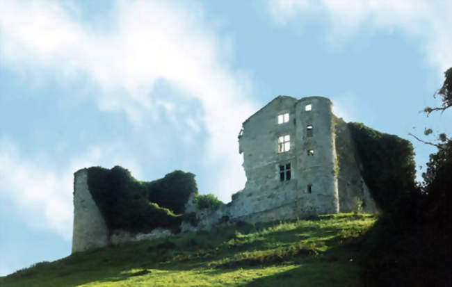 Le château de Belzunce - Ayherre (64240) - Pyrénées-Atlantiques