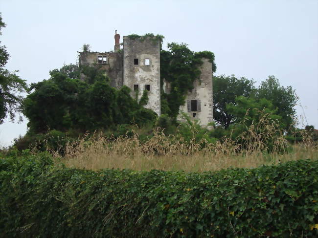 Les ruines du château - Beyrie-sur-Joyeuse (64120) - Pyrénées-Atlantiques