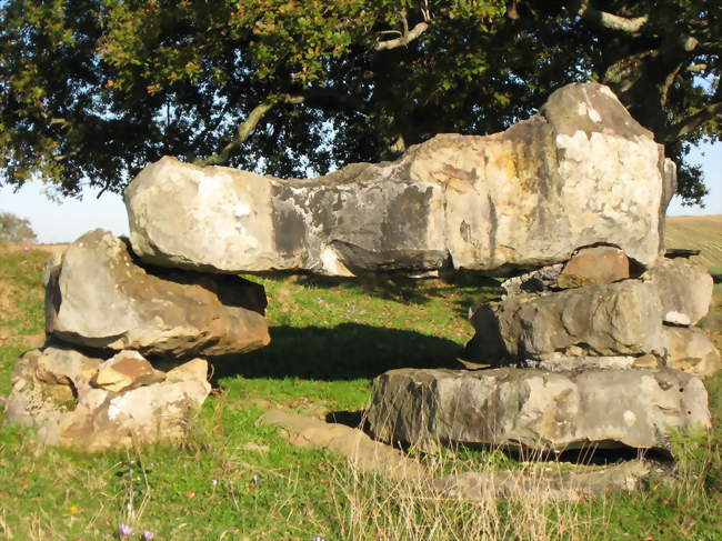 Le dolmen d'Escout - Escout (64870) - Pyrénées-Atlantiques