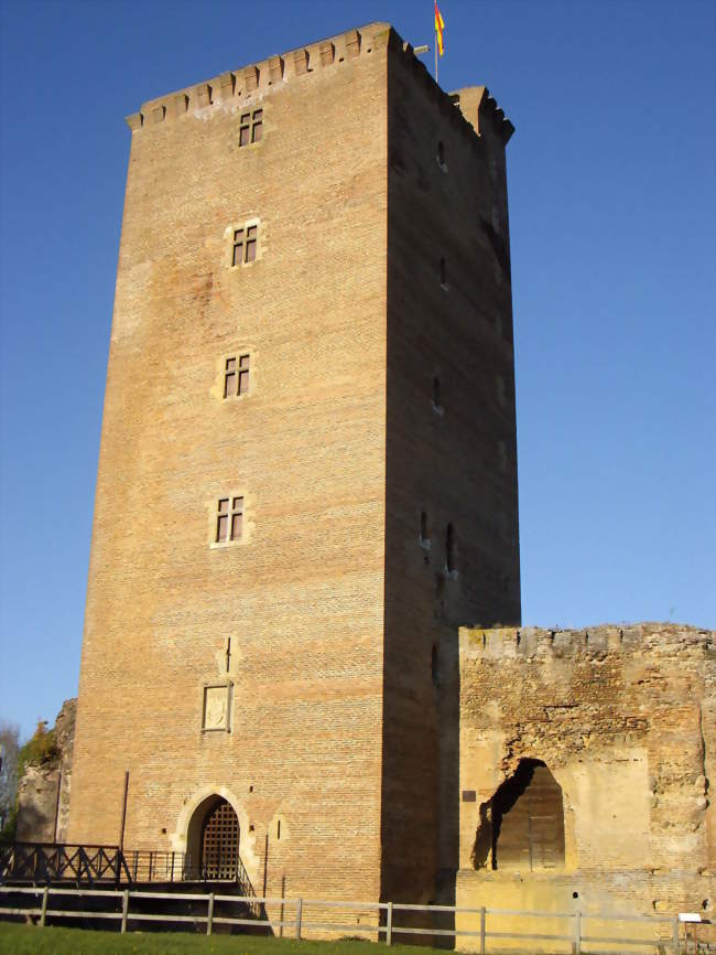 Château de Montaner - Montaner (64460) - Pyrénées-Atlantiques
