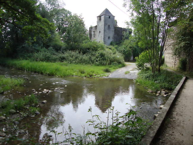 Le château se reflètant dans l'Escou - Précilhon (64400) - Pyrénées-Atlantiques