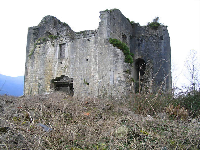 Ruines du château - Sainte-Colome (64260) - Pyrénées-Atlantiques