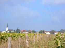 photo Vide grenier